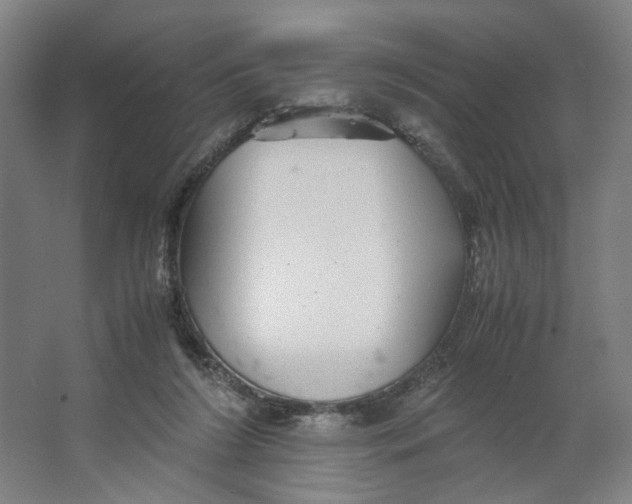 X0000063460212200602101723
