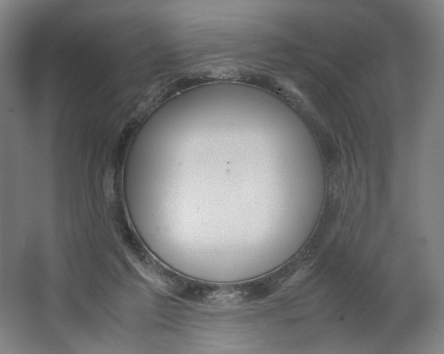 X0000063460213200602101723