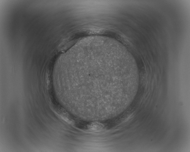 X0000063460215200602101723