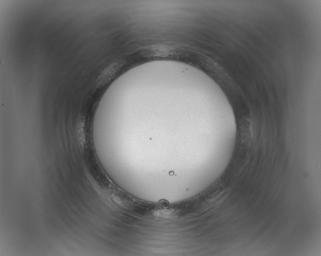 X0000063460216200602101723