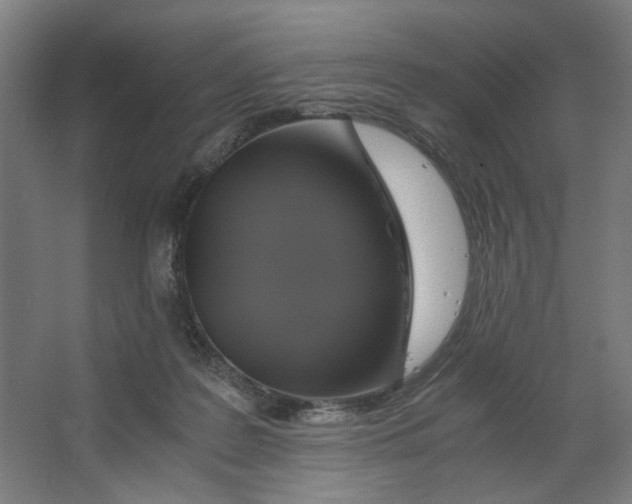 X0000063460219200602101723