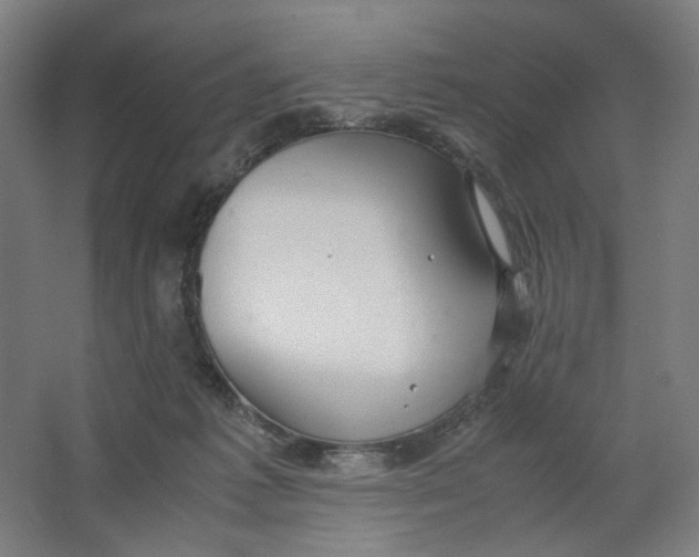 X0000063460221200602101723