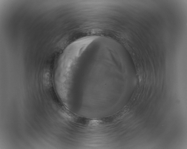 X0000063460222200602101723