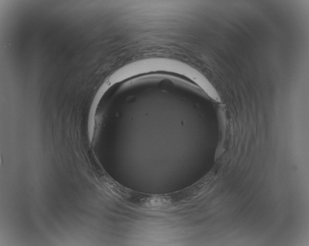 X0000063460223200602101723