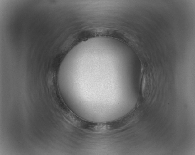 X0000063460225200602101723