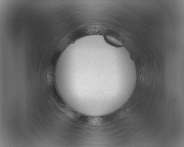 X0000063460226200602101723