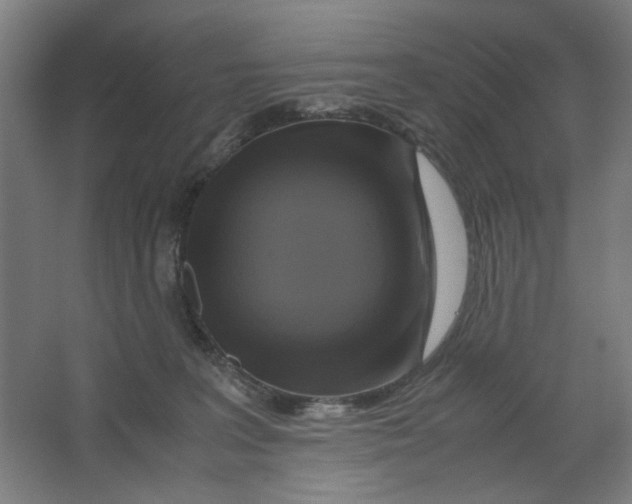 X0000063460227200602101723
