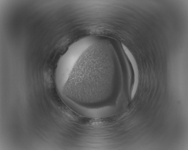 X0000063460228200602101723