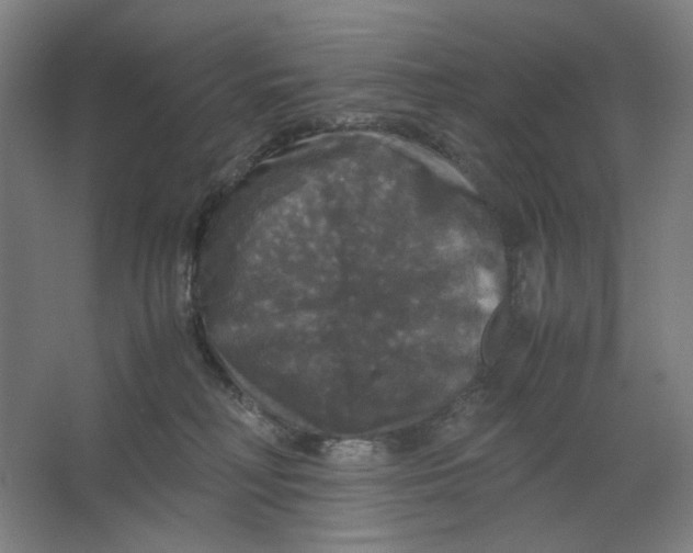 X0000063460230200602101723
