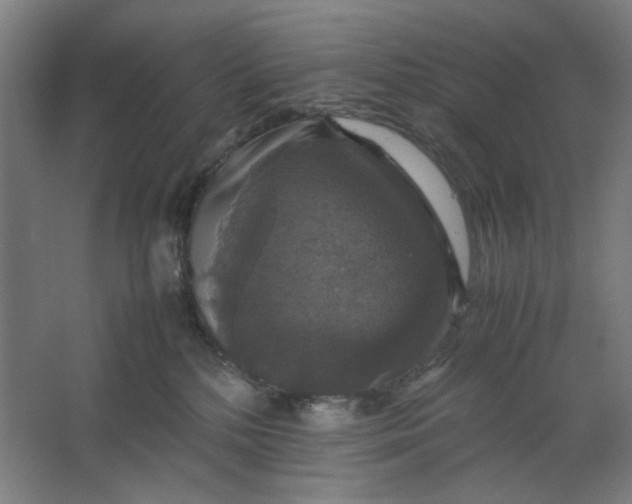 X0000063460232200602101723