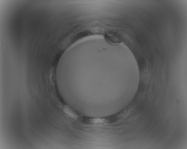 X0000063460233200602101723