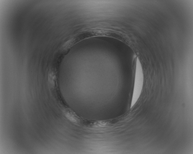 X0000063460235200602101722