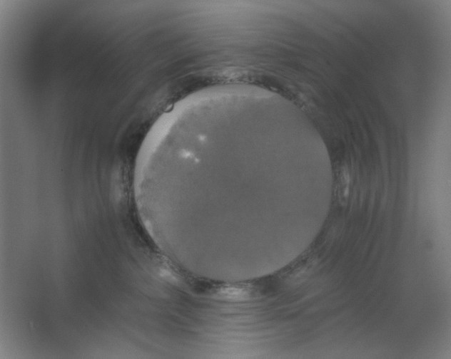 X0000063460236200602101722