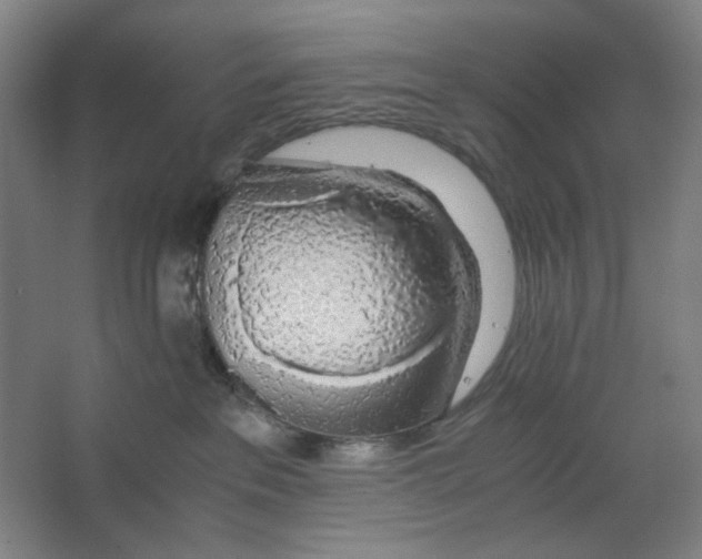 X0000063460237200602101722
