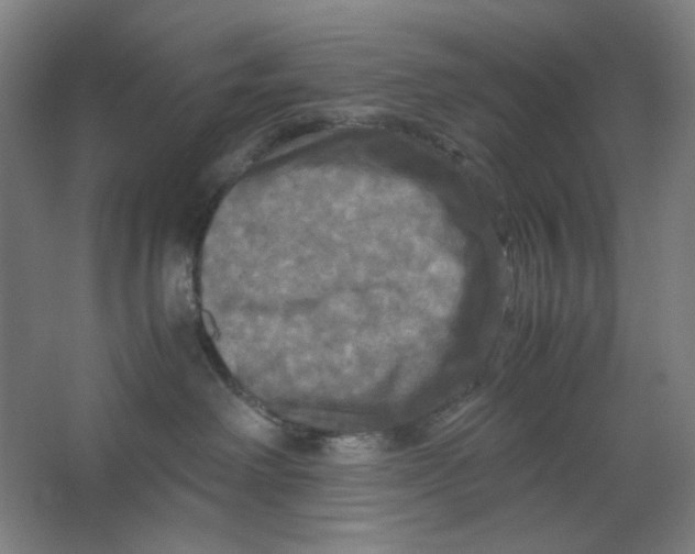 X0000063460238200602101722