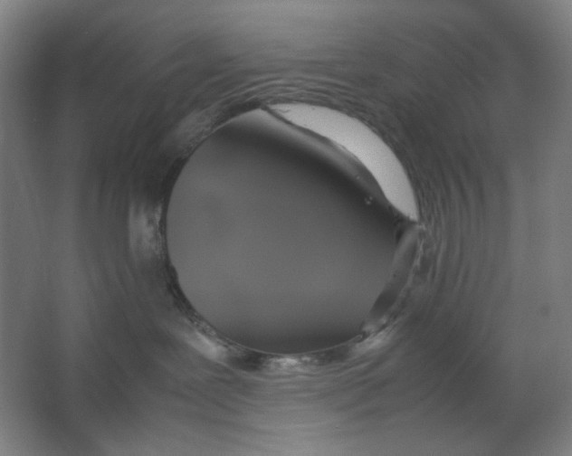 X0000063460239200602101722