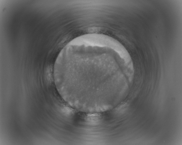 X0000063460240200602101722