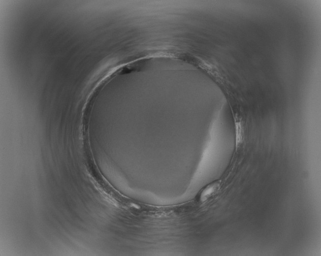 X0000063460243200602101722