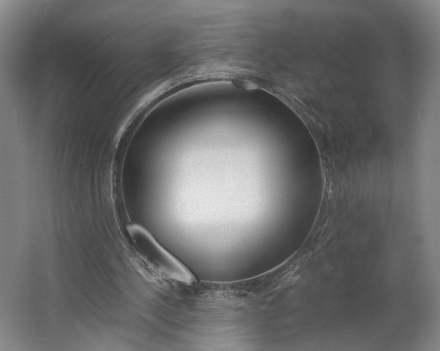 X0000063460244200602101722