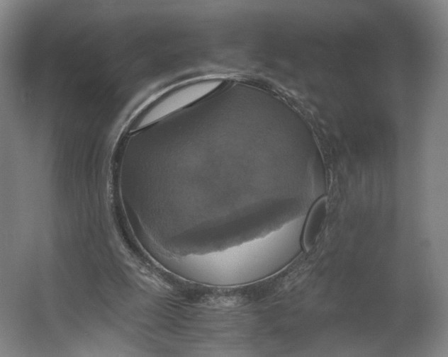X0000063460247200602101722
