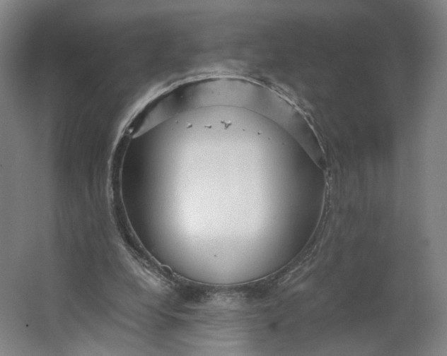 X0000063460248200602101722