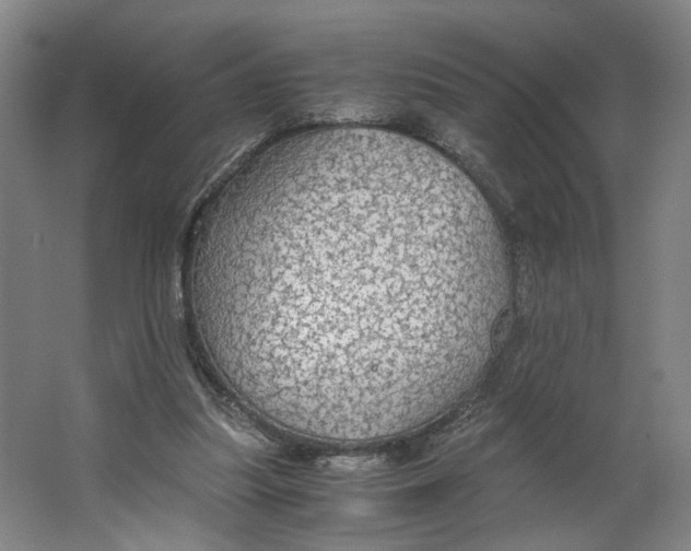 X0000063460251200602101722