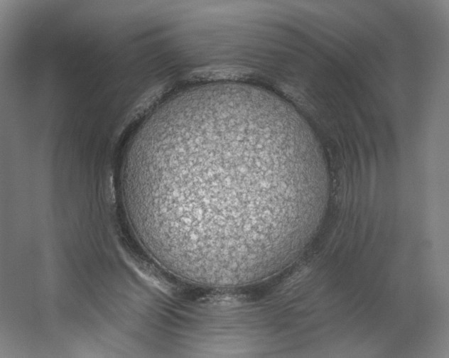 X0000063460254200602101722