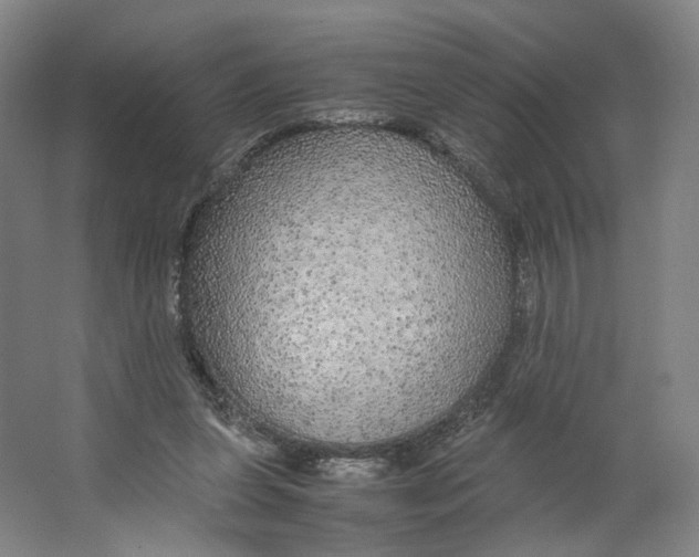 X0000063460255200602101722