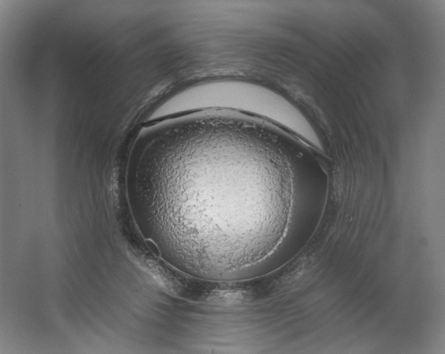 X0000063460260200602101722