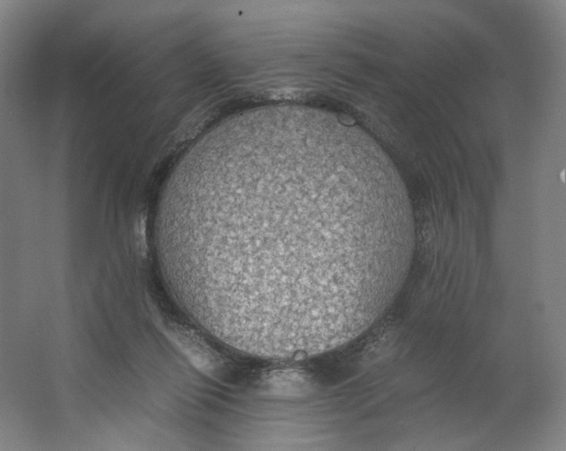 X0000063460262200602101722