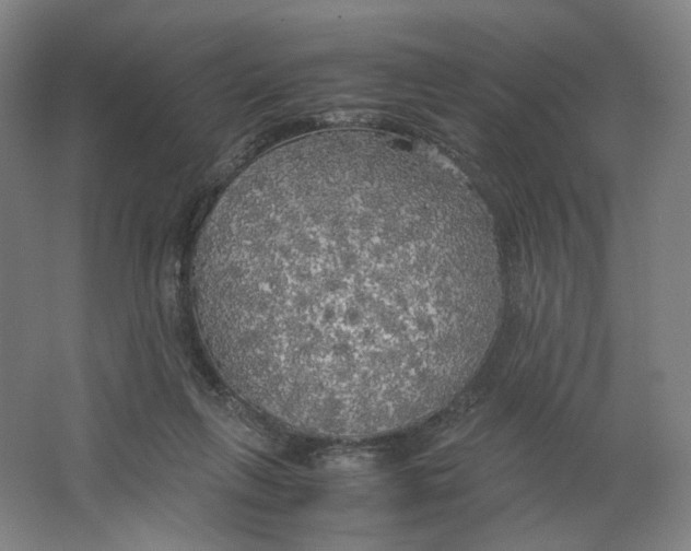 X0000063460263200602101722
