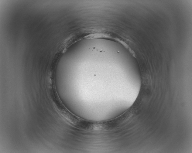 X0000063460264200602101722