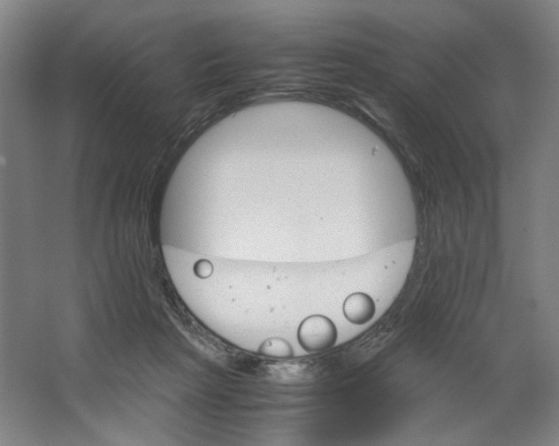 X0000063460265200602101722