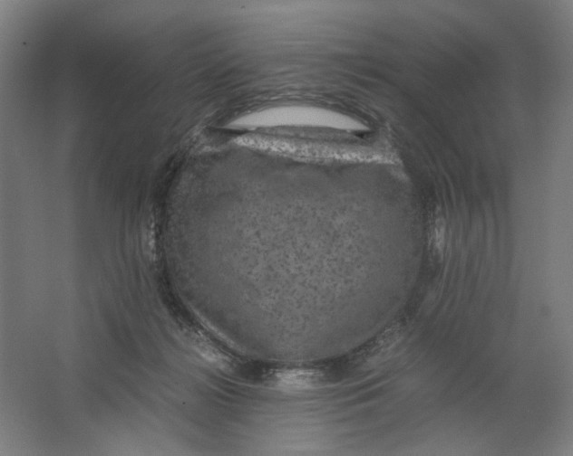 X0000063460268200602101722