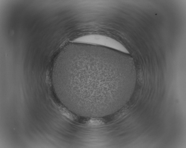 X0000063460270200602101722