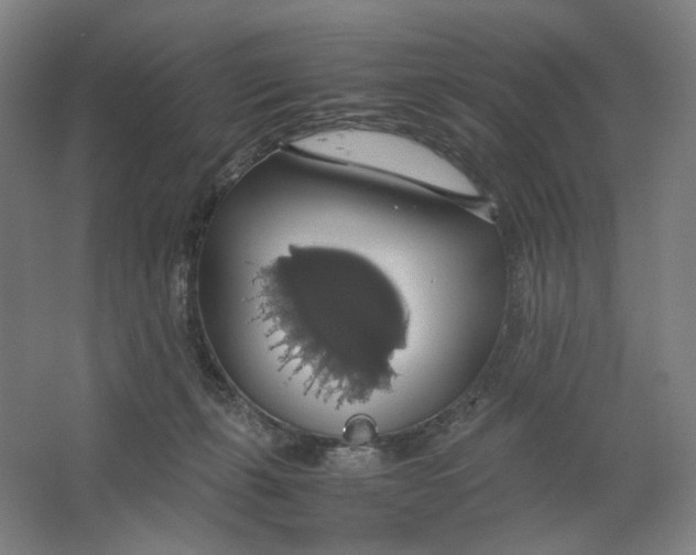 X0000063460271200602101722