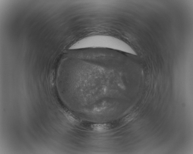 X0000063460273200602101722