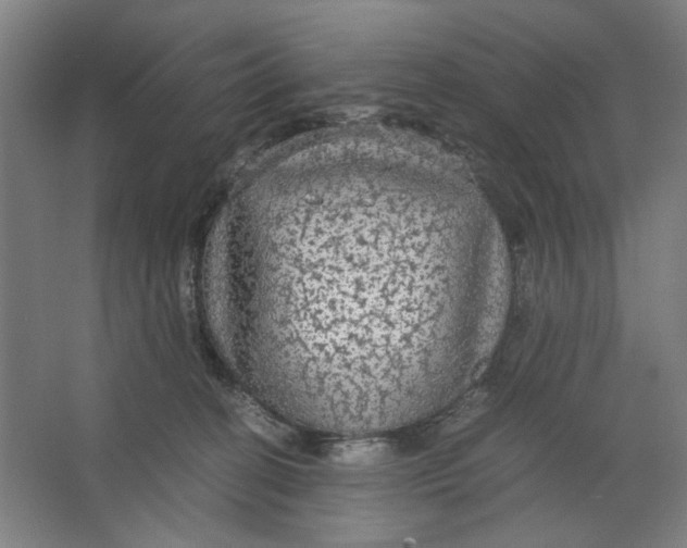 X0000063460274200602101722