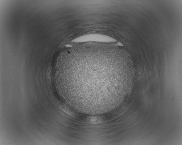 X0000063460275200602101722