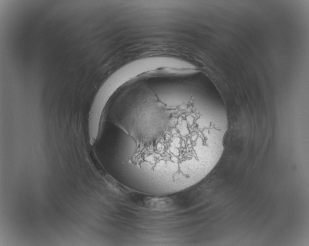 X0000063460277200602101722