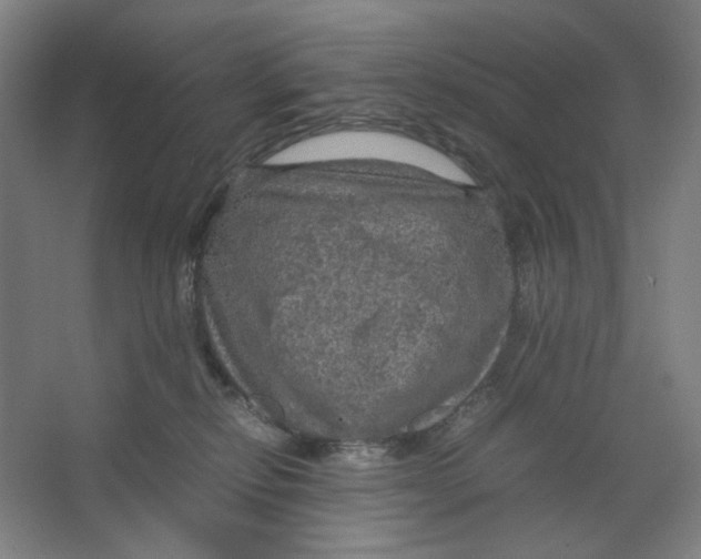 X0000063460278200602101722