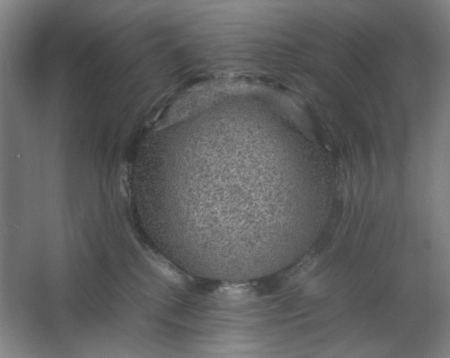 X0000063460280200602101722