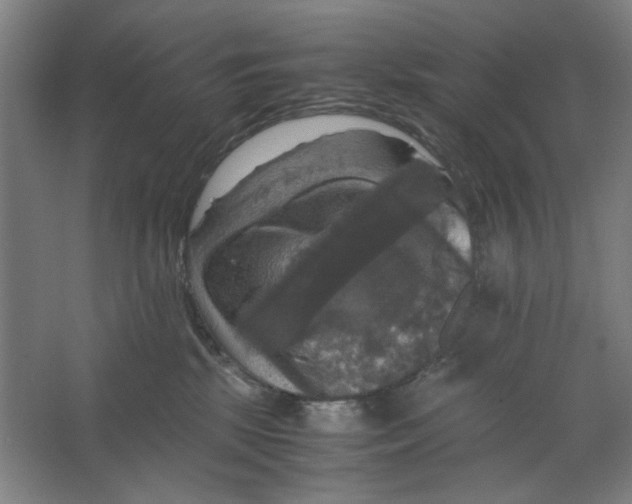 X0000063460281200602101722