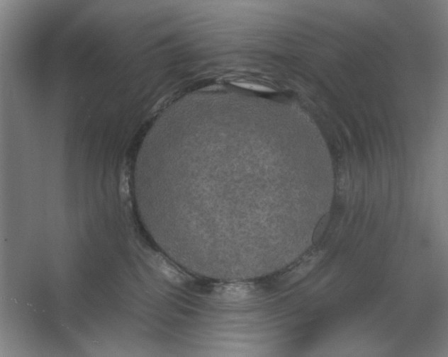 X0000063460282200602101722