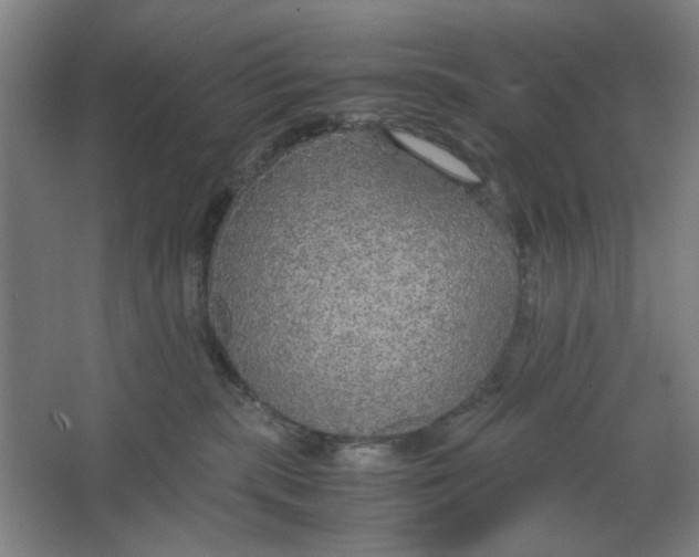 X0000063460283200602101722
