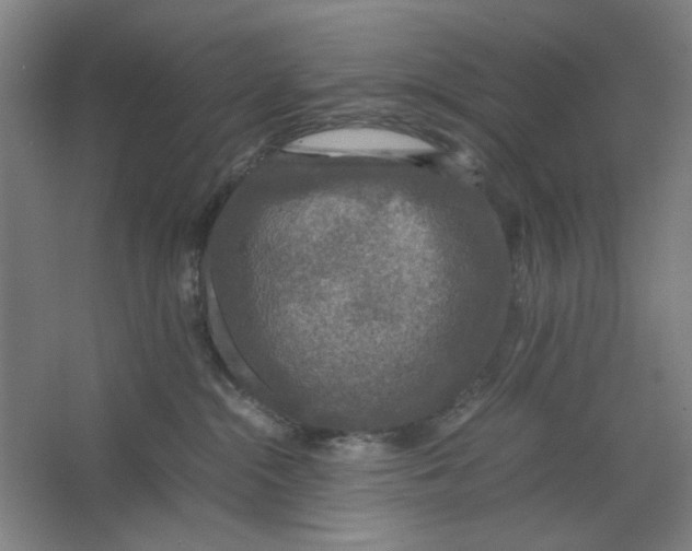 X0000063460284200602101722