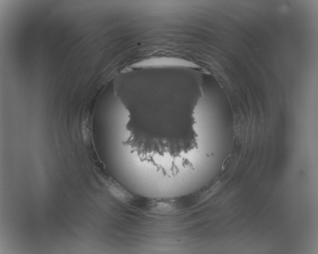 X0000063460285200602101722