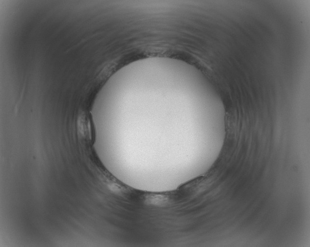 X0000063460287200602101722