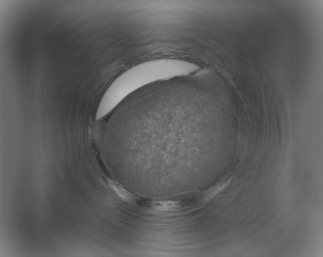 X0000063460288200602101722