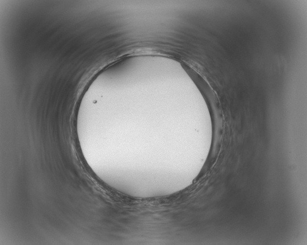 X0000063460289200602101722